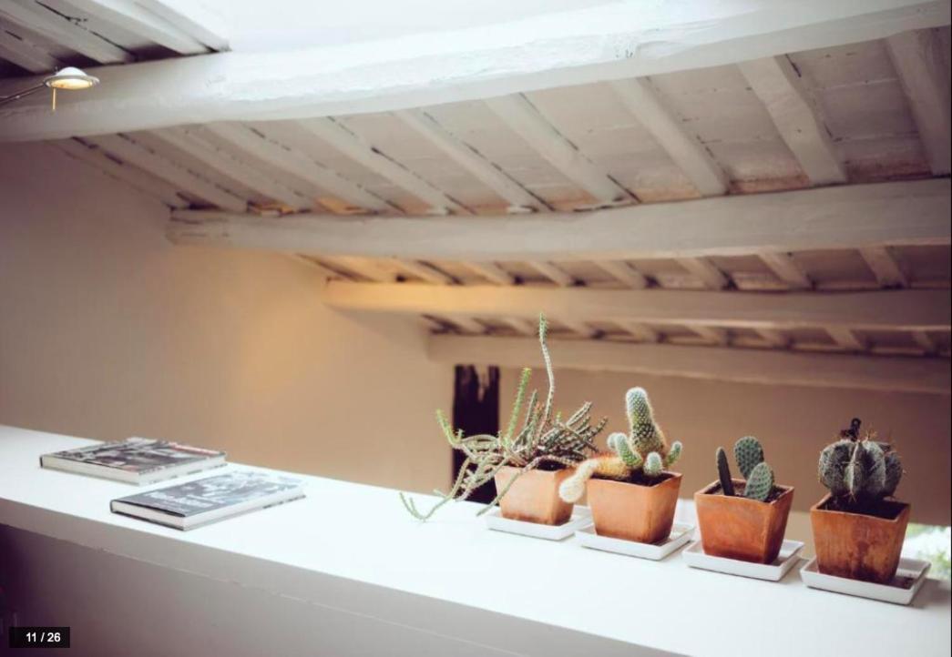 Luxury Art Apartment In Trastevere With Terrace Řím Exteriér fotografie
