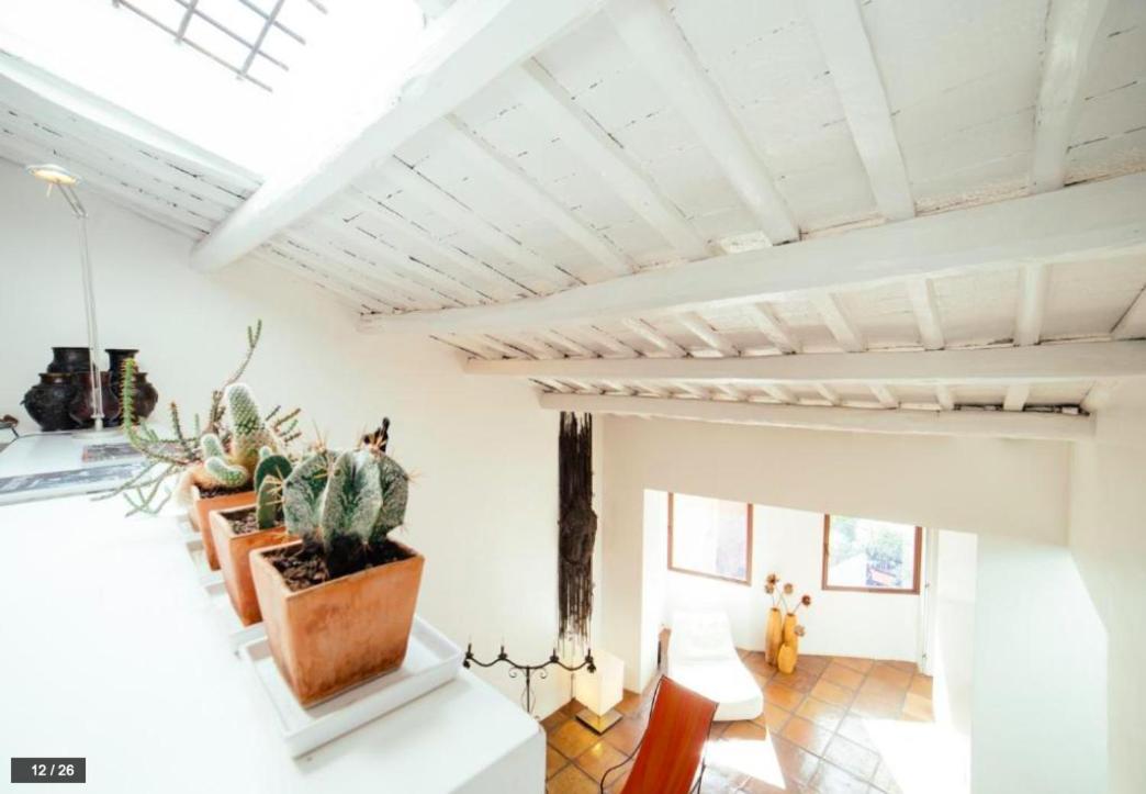 Luxury Art Apartment In Trastevere With Terrace Řím Exteriér fotografie